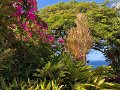 IMG_1112