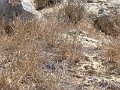 P1180917