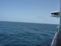 P1180982