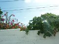 P1190211