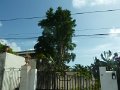 P1190212