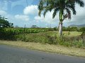 P1190280