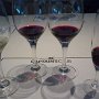 Wine Tasting Seminar