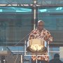 B-Sharp: Steel Drum/Caribbean Entertainer at the pool