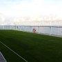 The lawn