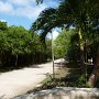the path
