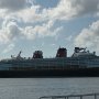 Disney Magic