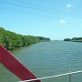 the river dumping into the ocean, we can see the ocean just past the trees