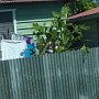 one backyard with laundry