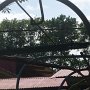 this zip line helps move the bananas to the basin
