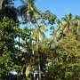we could hear the monkeys calling each other