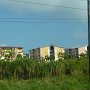 appartment buildings were locals live