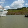 the cruise ships do not want the tub boats to touch the ship so the tugs follow behind but are there in case there have engine trouble in the canal
