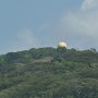 there are tours now at the top that lets you see above the trees