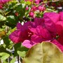 love the colours