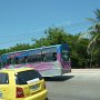 these buses are their public transportation and in front this is one of their taxis, they are all compact