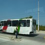 these buses are their public transportation