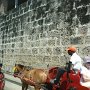 carriage tours with Equinox passengers