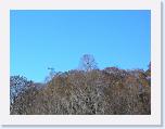 DSCN5802 * 2288 x 1712 * (725KB)