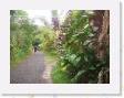 IMG_0642 * Rain Forest * 1600 x 1200 * (916KB)