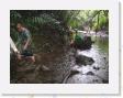 IMG_0643 * Rain Forest * 1600 x 1200 * (900KB)