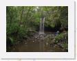 IMG_0644 * waterfall in Rain Forest * 1600 x 1200 * (906KB)