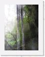 IMG_0653 * under waterfalls in Rain Forest * 1200 x 1600 * (783KB)
