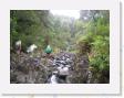 IMG_0659 * rain forest * 1600 x 1200 * (970KB)