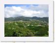 IMG_0711 * 2048 x 1536 * (976KB)