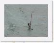 DSCN3703 * windsurfer * 2288 x 1712 * (682KB)