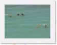 DSCN3716 * snorklers in Hanauma Bay * 2288 x 1712 * (648KB)