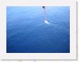 IMG_0727 * Stephen Parasailing - view of boat * 1600 x 1200 * (747KB)