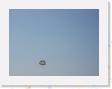 IMG_0735 * Parasailing in Kona * 1600 x 1200 * (247KB)