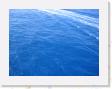 IMG_0738 * log in ocean * 1600 x 1200 * (615KB)