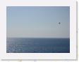 IMG_0764 * other parasailer * 1600 x 1200 * (351KB)