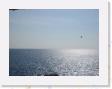 IMG_0766 * 1600 x 1200 * (524KB)