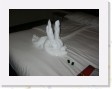 DSCN4054 * towel rabbit on our bed * 2288 x 1712 * (777KB)