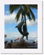 DSCN4236 * dolphins donated by Santa Barbara sister town to Puerto Vallarta * 1712 x 2288 * (764KB)