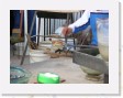 DSCN4279 * glass blowing factory making a sea turtle * 2288 x 1712 * (827KB)