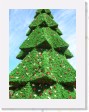 DSCN4298 * Christmas Tree * 1712 x 2288 * (818KB)