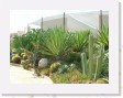 DSCN4309 * Cacti Mundo, an ecological cactus garden * 2288 x 1712 * (784KB)