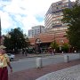 P1100238