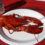 delicious fresh lobster