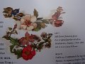 P1130632