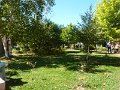 P1200016