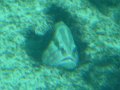 P1140394