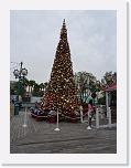 P1070097 * Christmas decorations appearing * 1536 x 2048 * (1.37MB)