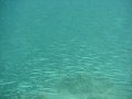 IMG_1641