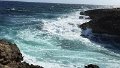 IMG_1054