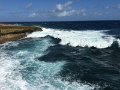 IMG_1138
